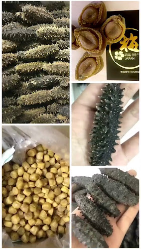 アロンディール島之内 - 大阪市