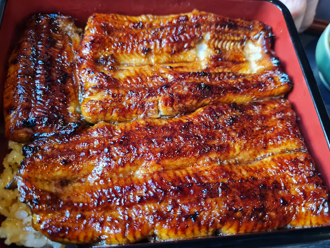 Opinii despre うなぎ藤田 浜松店 în 浜松市 - 飲食業