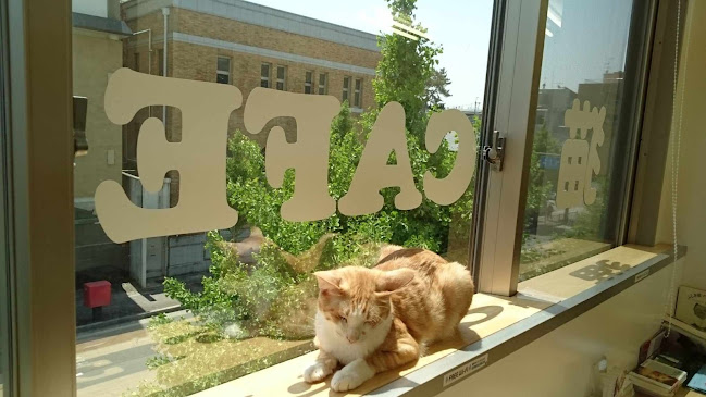 Comentarii opinii despre 猫カフェギャラリーキャッツアイ