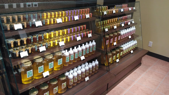 Comentarii opinii despre カフェ38