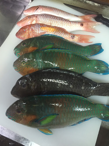 Comentarii opinii despre ゆらてぃく