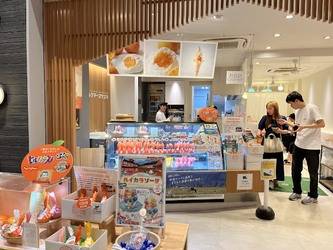 道後ミルクチーズケエキ - 飲食業