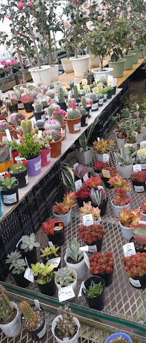 ＪＡ新潟かがやき 花夢里にいつ - 新潟市