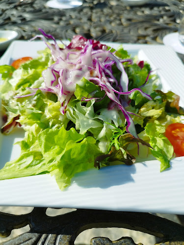 レストラン＆カフェ ラ・ヴィータ - 飲食業