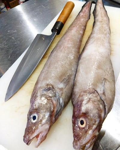 Opinii despre 食と酒 吟と听 (ぎんときん) în 長野市 - 飲食業