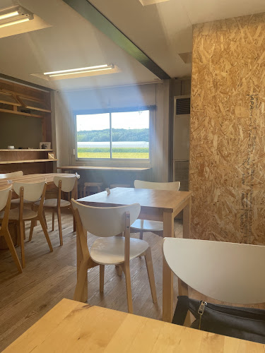 Comentarii opinii despre ハナサクプラス