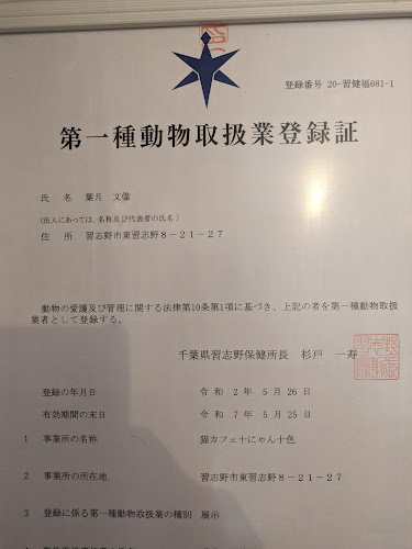 猫カフェ十にゃん十色