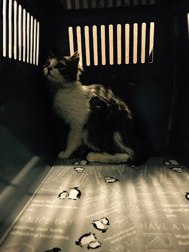 保護ねこカフェ おむすび - 飲食業