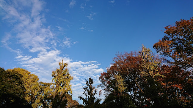 〒110-8715 東京都台東区上野公園４−５８