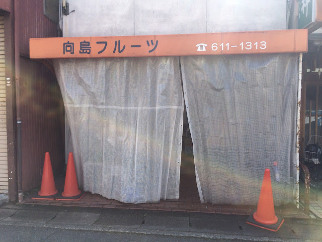 Opinii despre 向島フルーツ în 京都市 - 飲食業