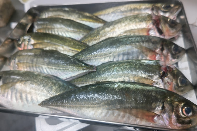 〒737-0051 広島県呉市中央３丁目１１−２２ ＰＡＮビル 2階