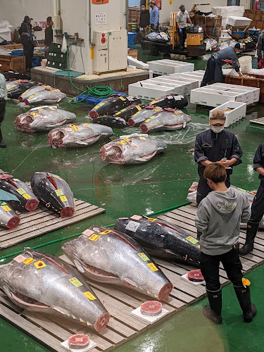 〒135-0061 東京都江東区豊洲６丁目６−１