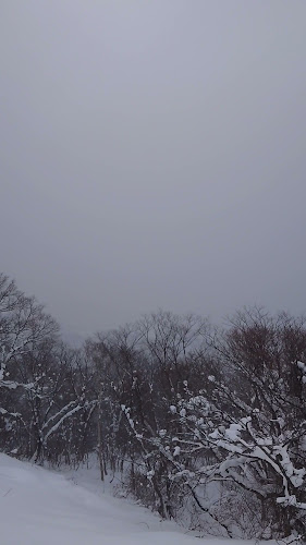 金しゃち焼き - 名古屋市