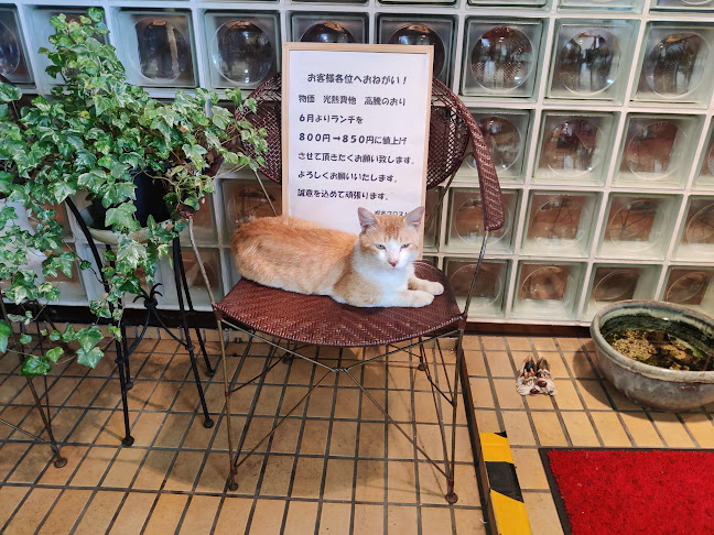 Comentarii opinii despre プロスパ