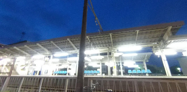 波音と島酒-シマサカバ気向-kinomuqu - 飲食業