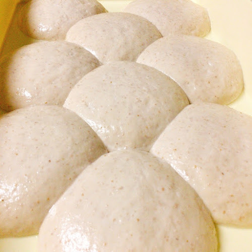 Comentarii opinii despre イタリア料理店 リミニ