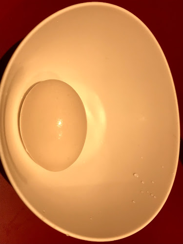 ラーメン二郎 荻窪店 - 飲食業