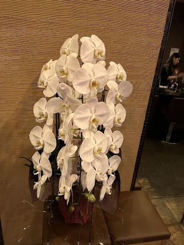 Lounge M’ｓ - 飲食業