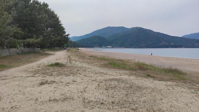 Comentarii opinii despre カフェ グリューン