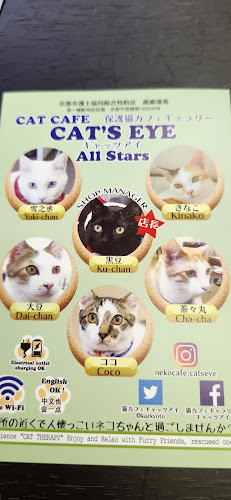 猫カフェギャラリーキャッツアイ - 京都市
