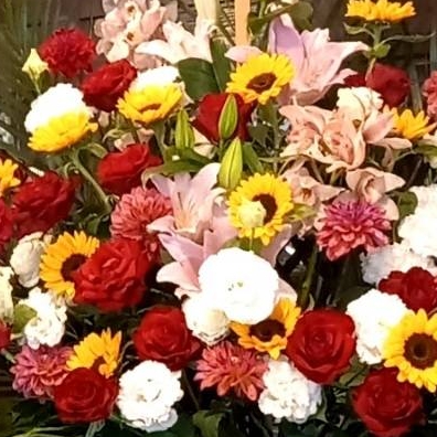 Opinii despre 金杏奈の手作りキムチ 김안나 în 大阪市 - 飲食業