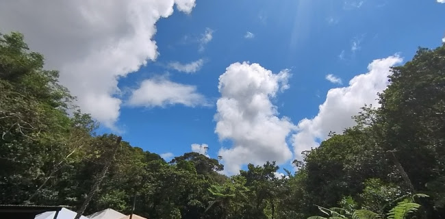 中山コーヒー園 Nakayama Coffee Farm