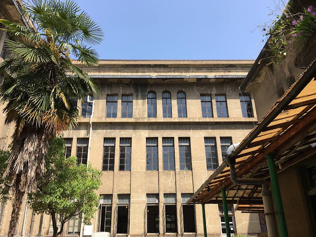 TRAVELING COFFEE - 飲食業