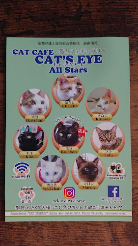 猫カフェギャラリーキャッツアイ