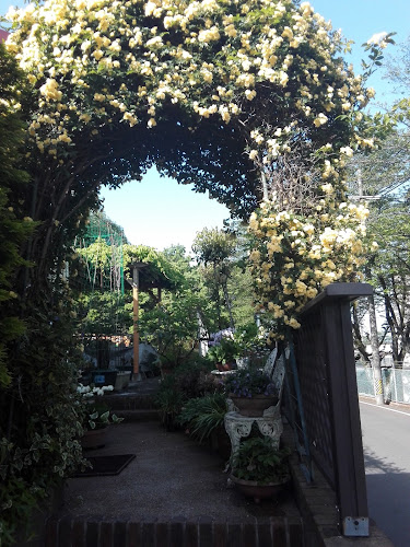 Comentarii opinii despre にんじん