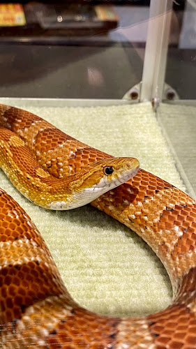 〒150-0001 東京都渋谷区神宮前６丁目５−６ サンポウ綜合ビル 8F