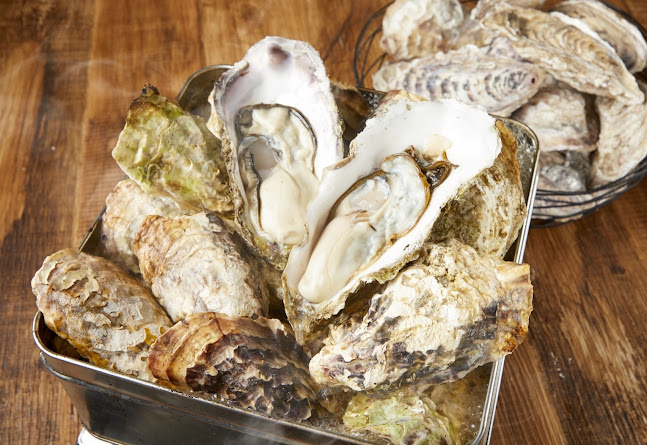 オイスターバー＆魚イタリアン 京橋ロビン - 飲食業