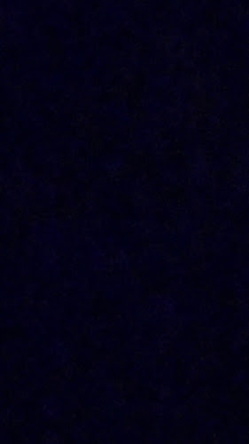 Opinii despre bar T-true în 高槻市 - 飲食業