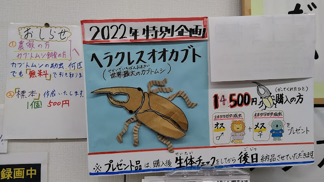 Comentarii opinii despre やさい＆くだもの村 金井台店