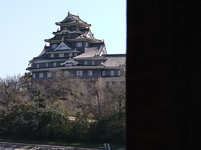さざなみ茶屋 - 飲食業
