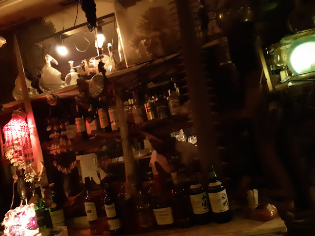 シェルハウス(海底バー) - 飲食業