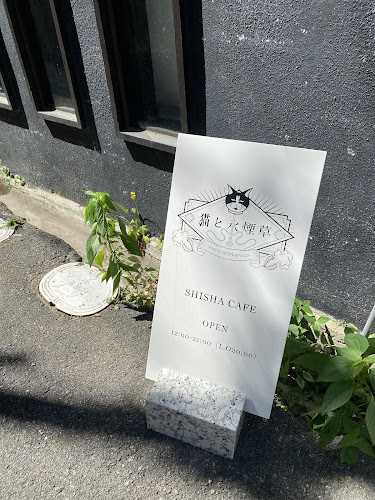 猫と水煙草 - 大阪市