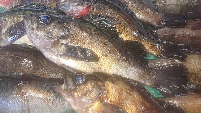 （有）マルエ水産