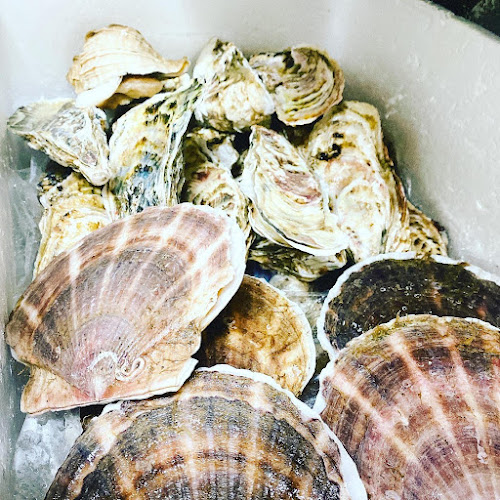 Opinii despre みのや în 岸和田市 - 飲食業