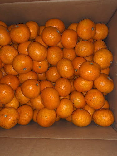 ㈲白鳥青果 - 飲食業