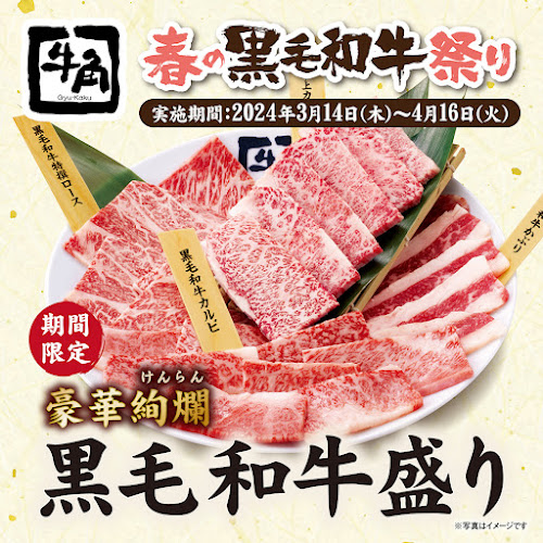 〒221-0835 神奈川県横浜市神奈川区鶴屋町２丁目１６−６ レスポアール295 ２F