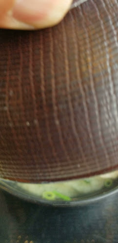 和食レストラン 庄屋 ターミナルホテル店