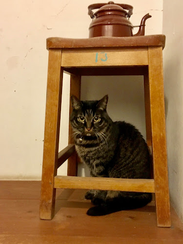 〒815-0034 福岡県福岡市南区南大橋２丁目１５−１９