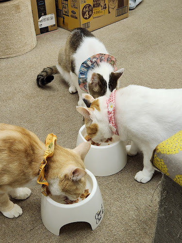 〒602-0875 京都府京都市上京区信富町３２５−２ 吉成ビル 3F