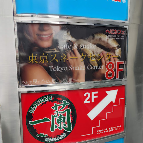 〒150-0001 東京都渋谷区神宮前６丁目５−６ サンポウ綜合ビル 8F