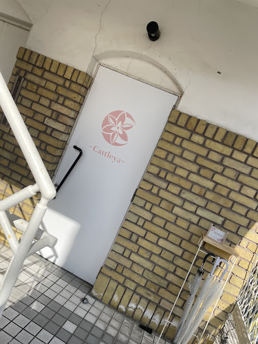 Opinii despre Cattleya(カトレア) în 松江市 - 飲食業