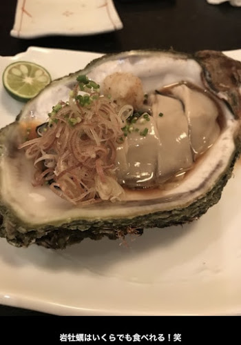 Comentarii opinii despre ほし中