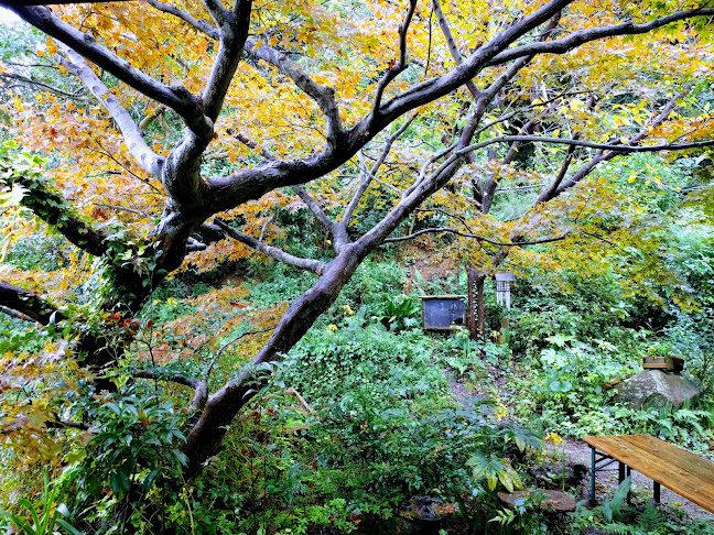 Comentarii opinii despre いきぬきどころ/きんど