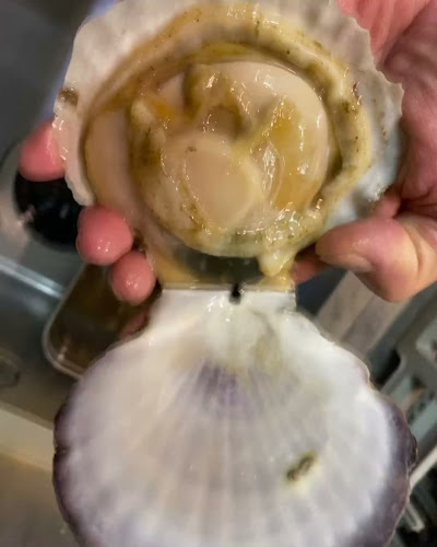 浜焼太郎 東三国店