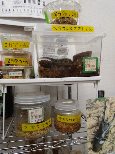 やさい＆くだもの村 金井台店