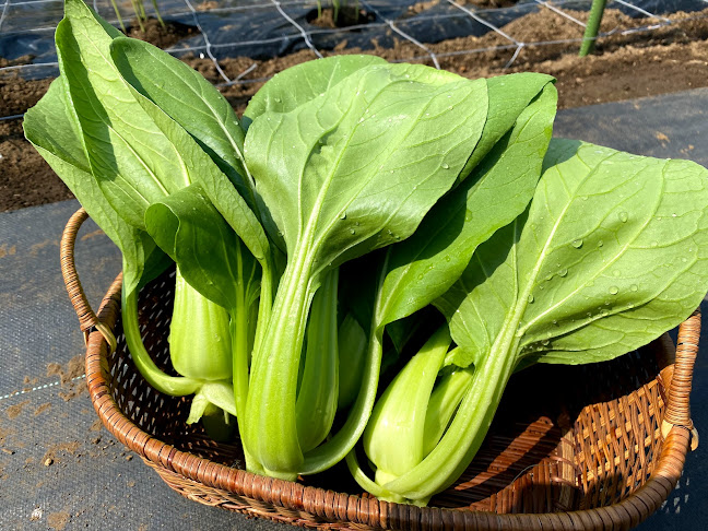 〒158-0082 東京都世田谷区等々力４丁目１４−５